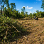 Brush Clearing Edmond